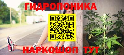 стафф Будённовск