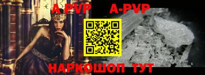 стафф Будённовск